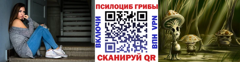 Галлюциногенные грибы Cubensis  Купить где  Чистополь 
